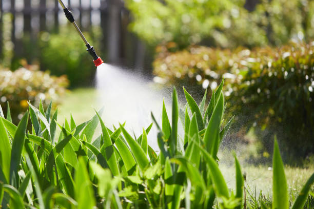 Tamper-Resistant Bait Stations for Rodents in Rodney Village