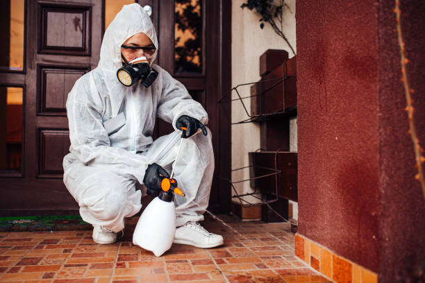 Attic and Crawl Space Rodent Treatment in Rodney Village